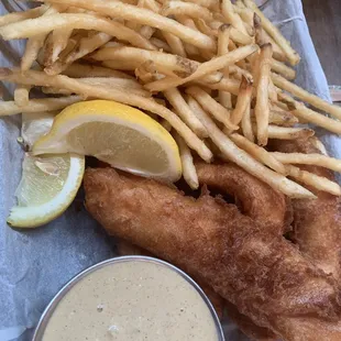 Salmon Fish