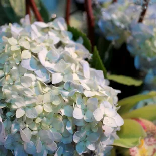 Colors were white and blue with a little sparkle