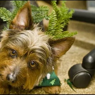 Marky! You'd never tell he doesn't like kids with his cute face!