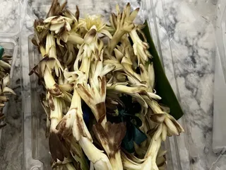 Flowers For A Friend