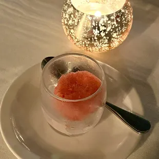 Watermelon sorbet pallet cleanser