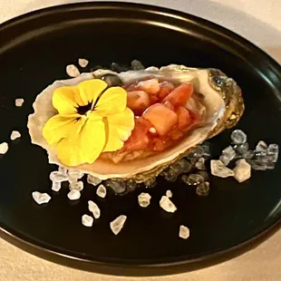 mussels, shellfish, oysters and mussels, oysters, food