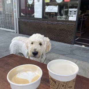 Vanilla late and chai late