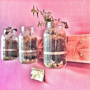 Las plantas, genialidad que quiero repetir en mi casa.