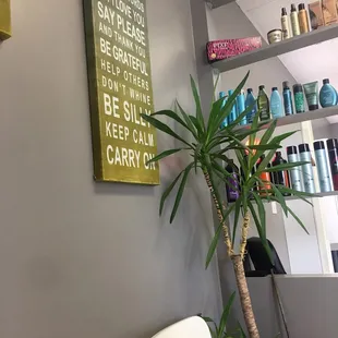 Love the simplicity