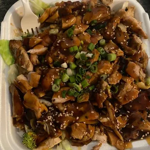 Teriyaki Bowl