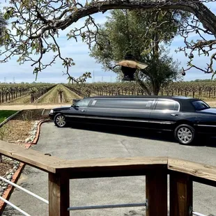 Ezebel's recommendations were perfect!  Her timing!  Never late!