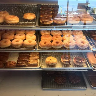 1st shelves are &quot;regular&quot; donuts, last shelves are &quot;fancy&quot;