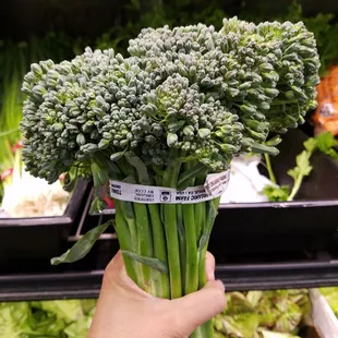 Broccolini these days from Tomatero Farms has been out of this world good. Not to mention they&apos;re enormous, but I&apos;m no size queen. Shut up.