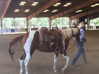 Ed Hughes Memorial Arena
