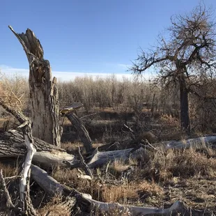 Star K Ranch Open Space