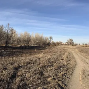 Walking trail