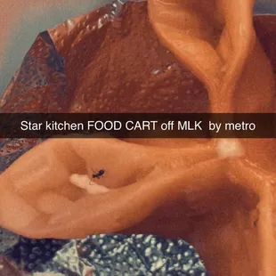 Ant in my crab puffs