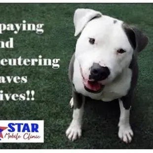 SPAY/NEUTER YOUR ANIMALS!