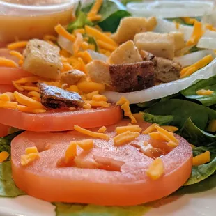 Garden salad, up close and personal