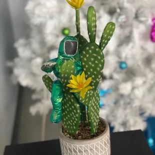 a cactus plant in a ceramic pot