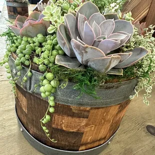 Succulent wedding arrangement