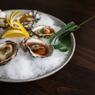 Kumomoto oysters