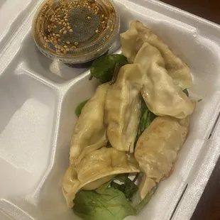 Pan Fried Dumplings