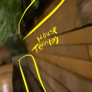 Mouse territory, they live and roam here