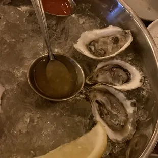 Oysters