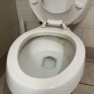 Toilet brushes exist! Please use the one next to this disgusting toilet.