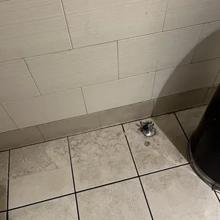 Encrusted grime of a filthy bathroom