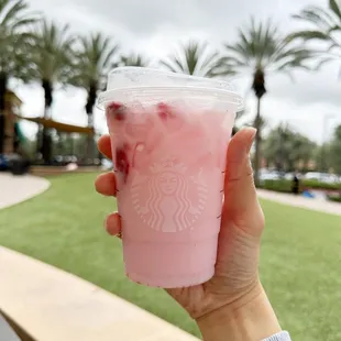 Pink Drink Starbucks Refresher