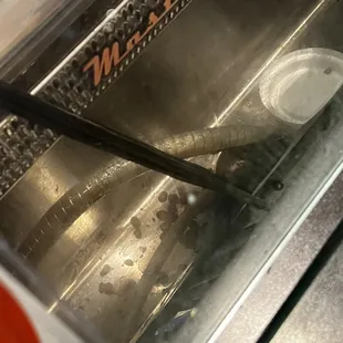 Never cleand every day I go in