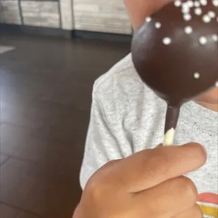 Chocolate Cake Pop