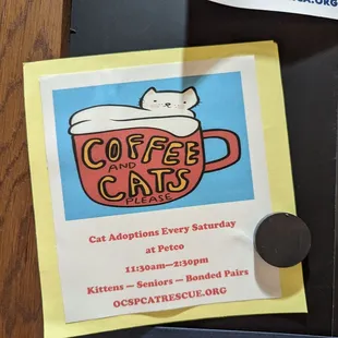 Coffee and cats. Such a great pair... Starbucks supports community cat adoptions at Petco