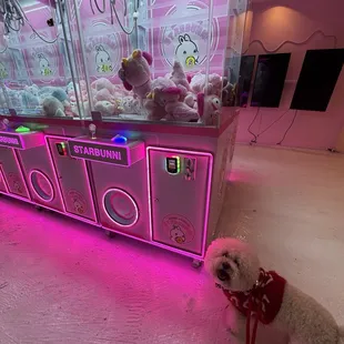 Will luck be on my side today