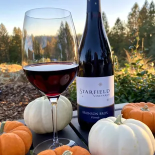 Our newly released Bronson Brothers on an autumn day!