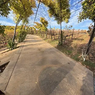 Pathway towards their private lake