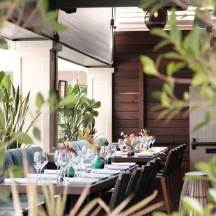 sushi and sashimi, interior