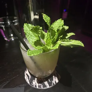 drink, sushi and sashimi