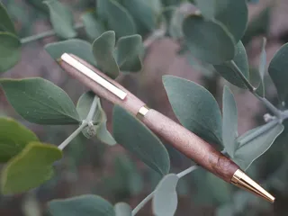 Saguaro Laser