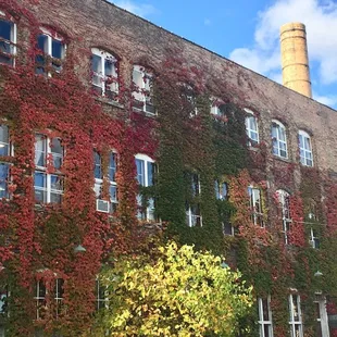 Exterior of building