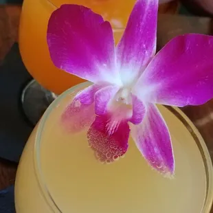 Pear and peach mango mimosas....just the start