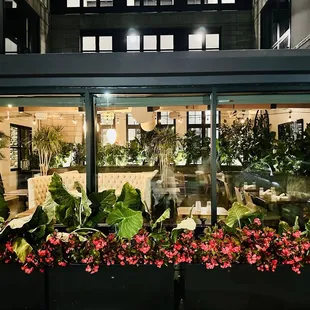 salads, interior