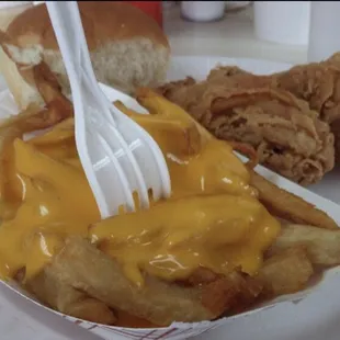 Cheese fries and chicken