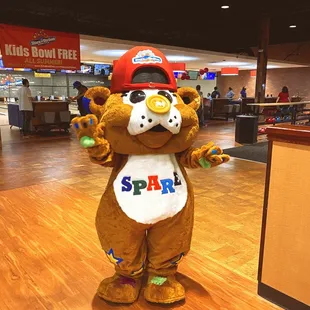 Spare the bear. He comes out on weekends for kids birthdays.