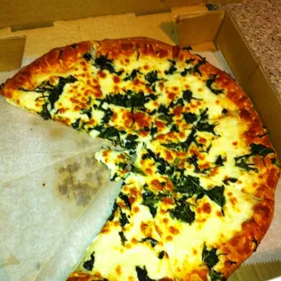 Spinach Alfredo medium