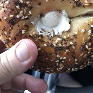 Everything with Nova Lox