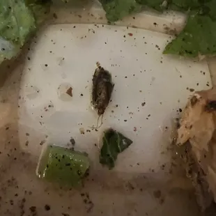 I am so disgusted! Please never eat here!!!!!!