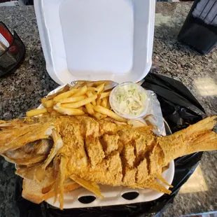 Red Snapper