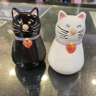 Salt and pepper kitties