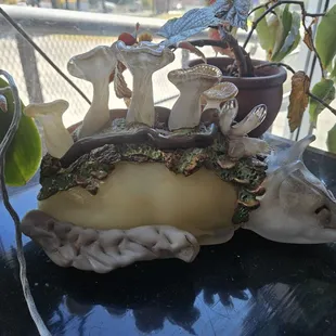 oysters and mussels, food