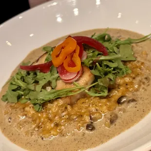 Wild Mushroom Risotto