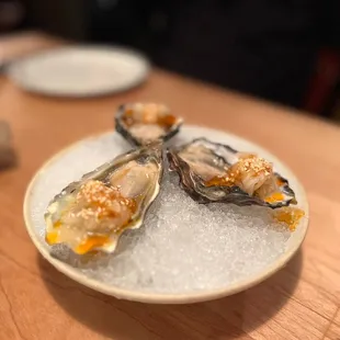 Hog Island Sweet Water Oyster